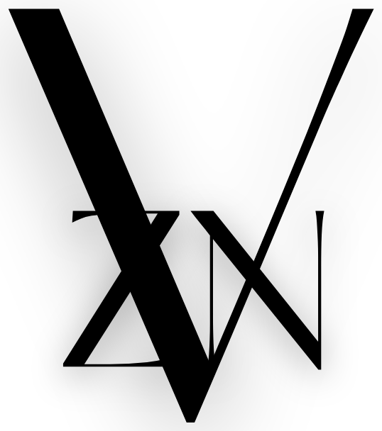 VZN Studios