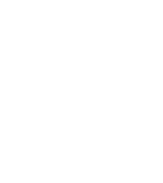 VZN Studios